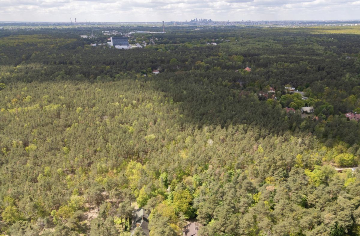 Działka budowlana Warszawa Wawer, ul. Kociszewskich. Zdjęcie 6