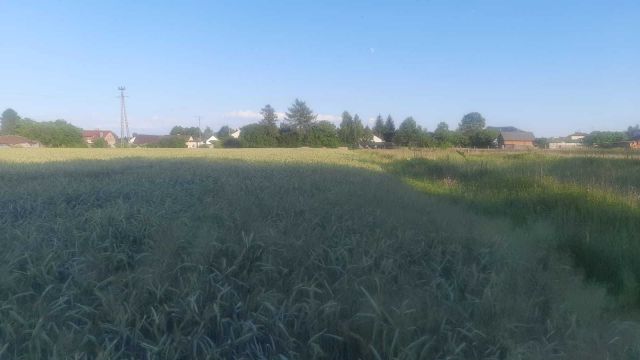 Działka budowlana Lubaczów, ul. Chabrowa. Zdjęcie 1