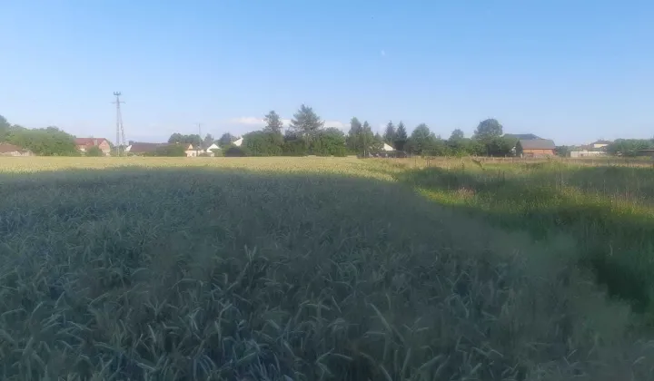 Działka budowlana Lubaczów, ul. Chabrowa
