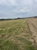 Działka rolno-budowlana Skała, ul. Marianów. Zdjęcie 4