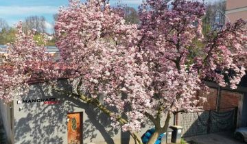 Hala/magazyn Głuchołazy, al. Jana Pawła II