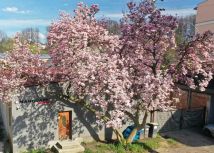 Hala/magazyn Głuchołazy, al. Jana Pawła II. Zdjęcie 1