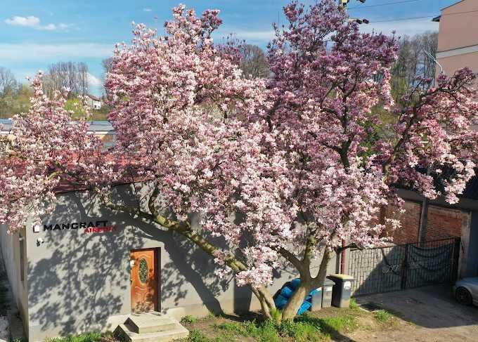 Hala/magazyn Głuchołazy, al. Jana Pawła II. Zdjęcie 2