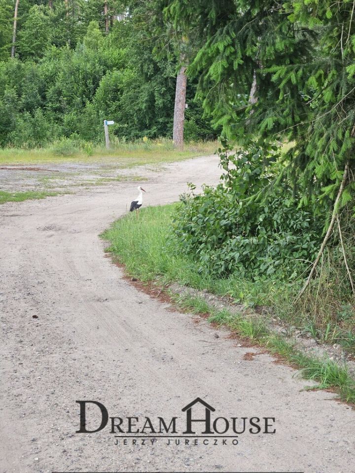 Mieszkanie 3-pokojowe Ogardy. Zdjęcie 15