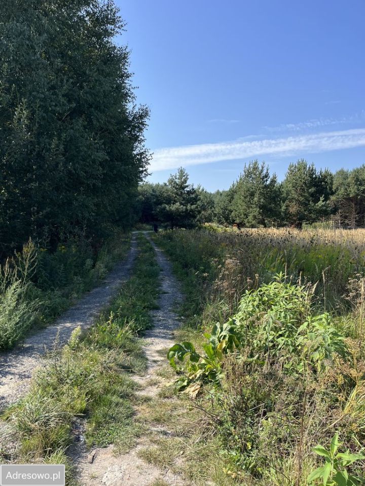 Działka rolno-budowlana Łaszczówka, ul. Południowa. Zdjęcie 6