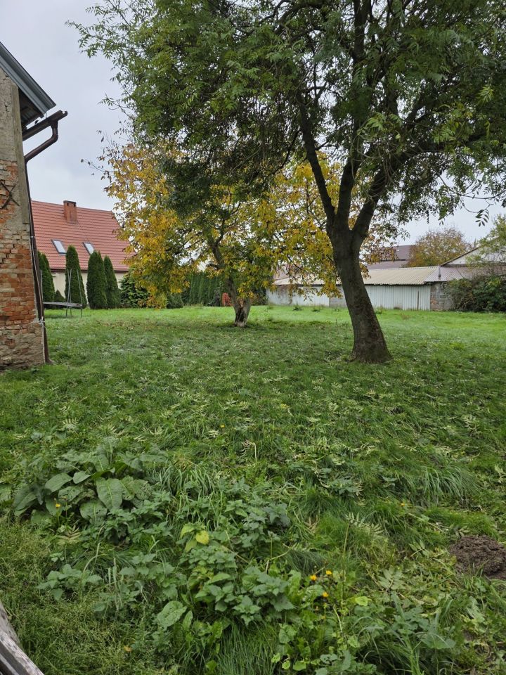 gospodarstwo, 6 pokoi Jaksonowice. Zdjęcie 6