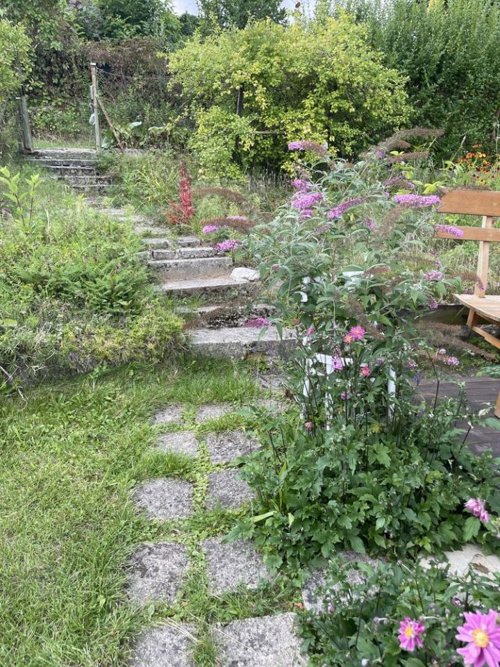 Działka rod Olsztyn. Zdjęcie 5