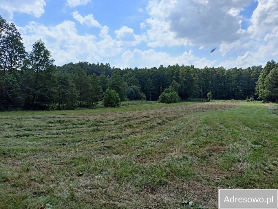 Działka rolna Budno. Zdjęcie 3