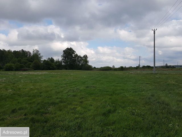 Działka rolna Rudka. Zdjęcie 1