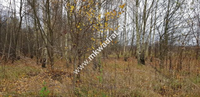 Działka budowlana Terenia. Zdjęcie 5