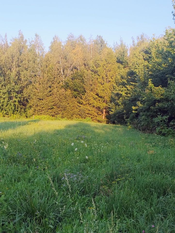 Działka budowlana Stopnica, ul. Polna. Zdjęcie 5