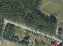 Działka leśna Jarużyn. Zdjęcie 2