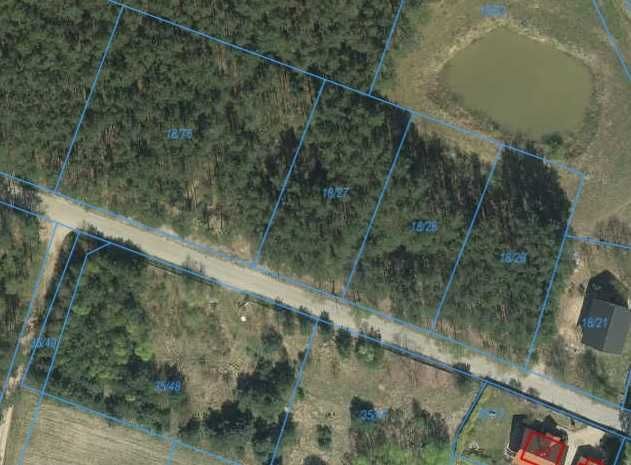 Działka leśna Jarużyn. Zdjęcie 3