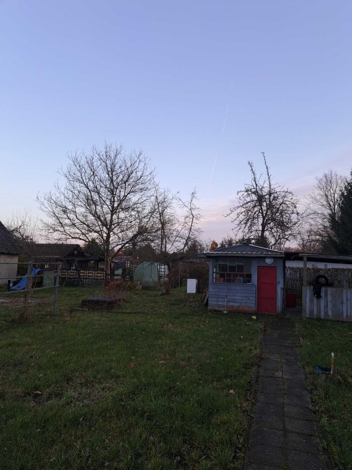 Działka rod Chocianów. Zdjęcie 4