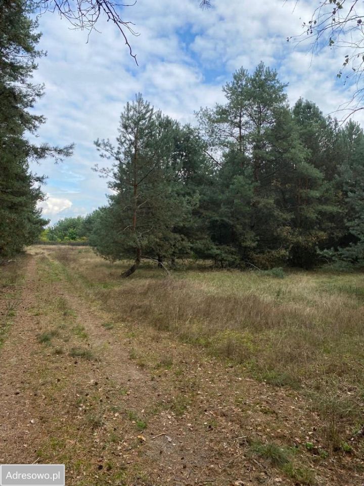 Działka rekreacyjna Kwiejce. Zdjęcie 8