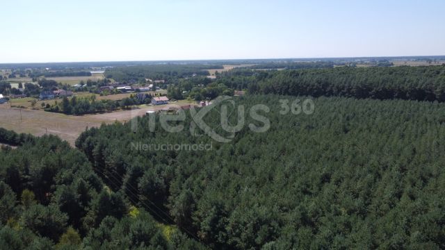 dom wolnostojący, 6 pokoi Zimnica. Zdjęcie 11