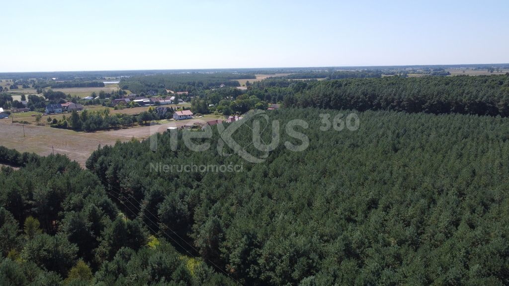 dom wolnostojący, 6 pokoi Zimnica. Zdjęcie 11