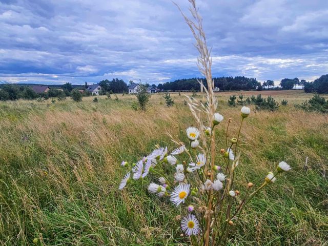 Działka rolna Kleszczewo Kościerskie. Zdjęcie 1