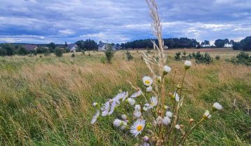 Działka rolna Kleszczewo Kościerskie