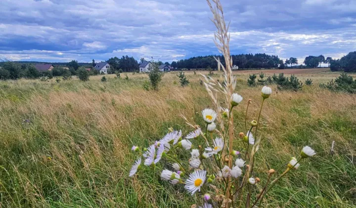 Działka rolna Kleszczewo Kościerskie