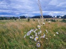 Działka rolna Kleszczewo Kościerskie