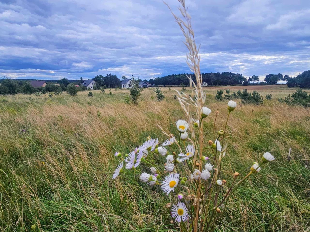 Działka rolna Kleszczewo Kościerskie