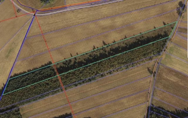 Działka inwestycyjna Skudzawy. Zdjęcie 1