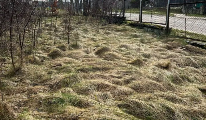 Działka budowlana Brzeźno Lęborskie, ul. Długa