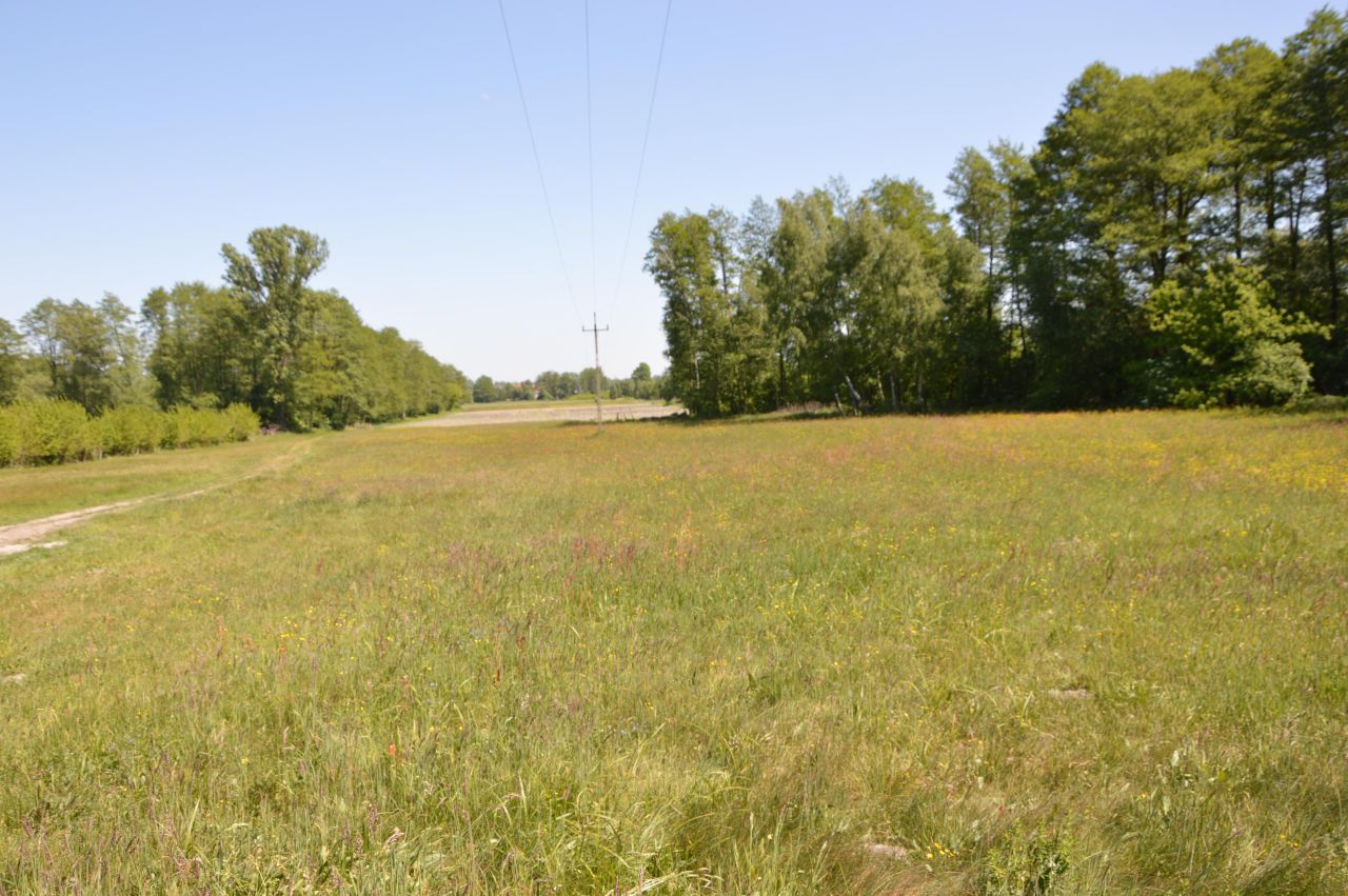 Działka budowlana Hipolitów