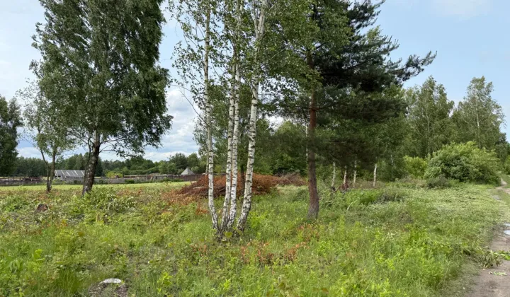 Działka budowlana Zalesie