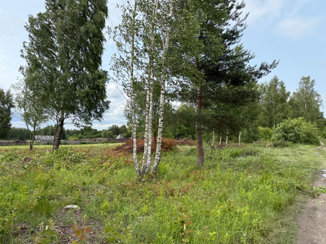 Działka budowlana Zalesie