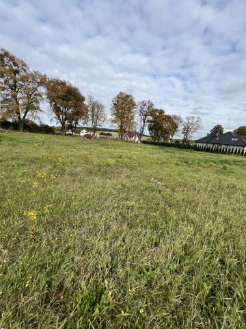 Działka budowlana Gołębiewo Wielkie. Zdjęcie 1