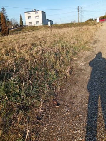 Działka budowlana Dobieszowice, ul. 27 Stycznia. Zdjęcie 3