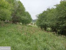 Działka budowlana Lachowice. Zdjęcie 2