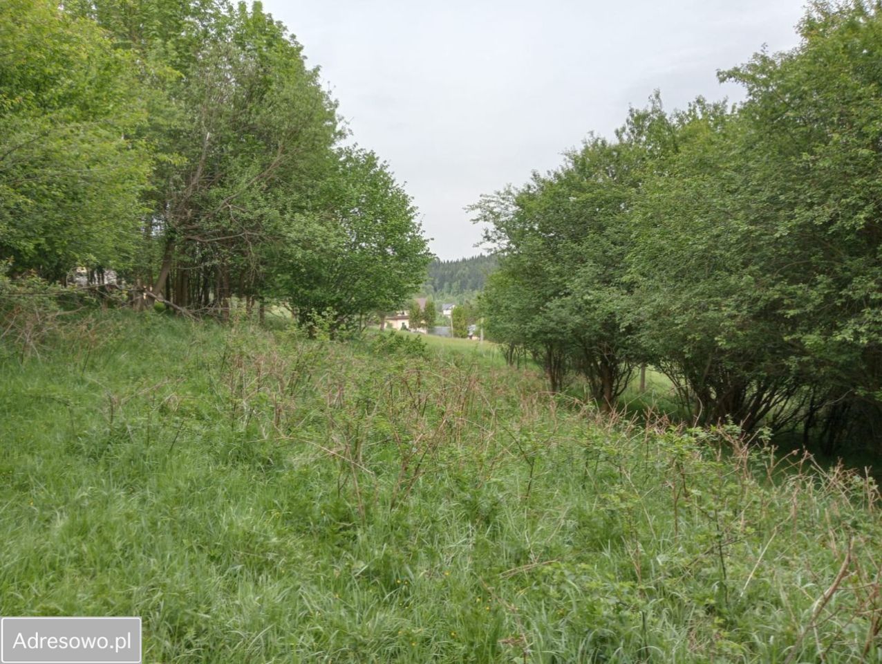 Działka budowlana Lachowice. Zdjęcie 3