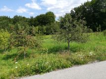 Działka inna Skawinki, ul. Leszczynowa. Zdjęcie 1