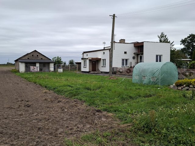 dom wolnostojący, 4 pokoje Bierzwienna Długa-Kolonia. Zdjęcie 3