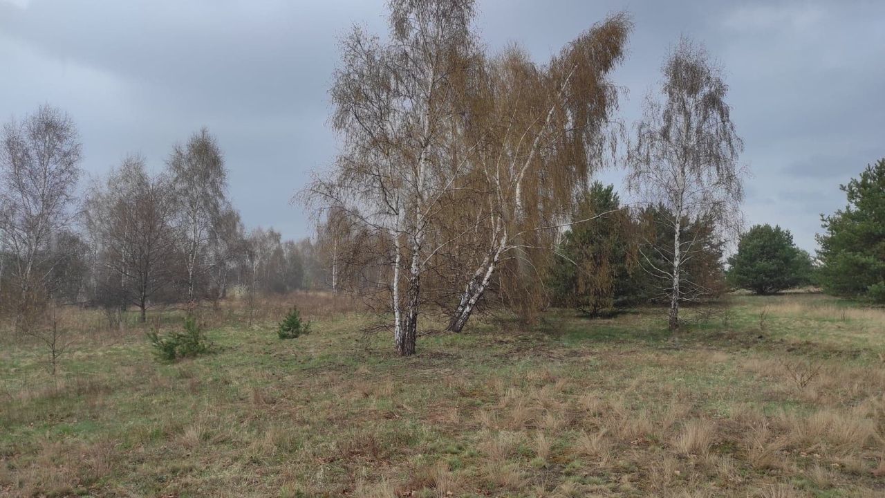 Działka rolna Myszków Nowa Wieś Żarecka, ul. Podgórna. Zdjęcie 2