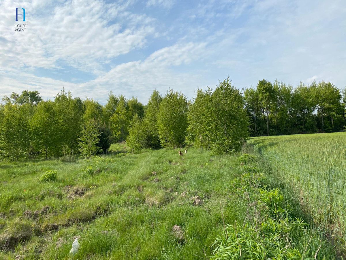 Działka inwestycyjna Rozworzyn