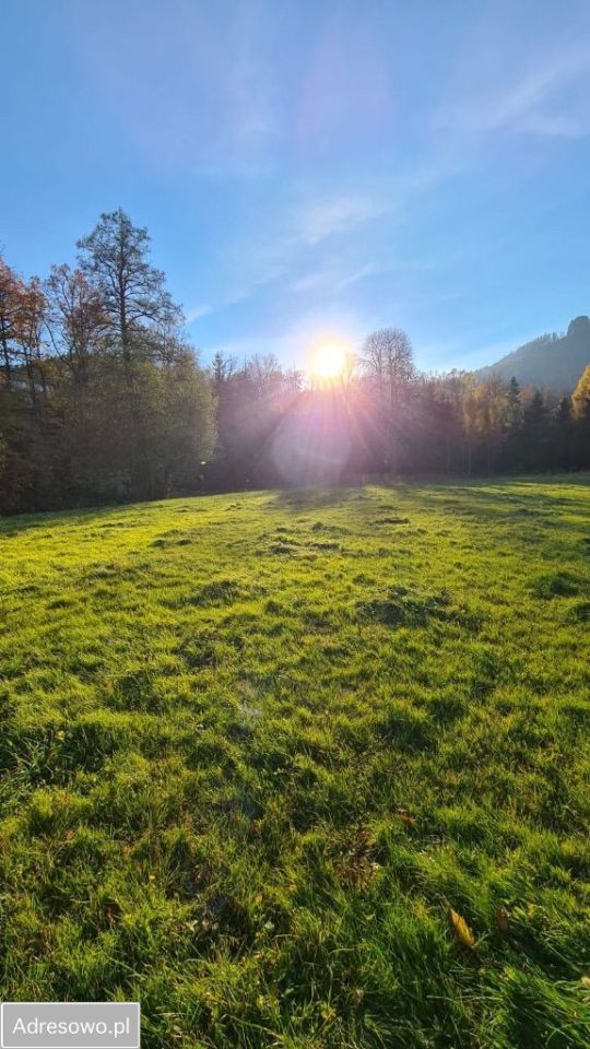 Działka budowlana Trzcińsko. Zdjęcie 5
