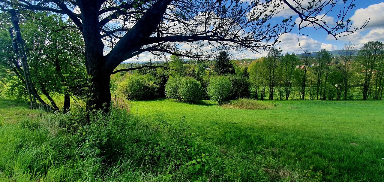 Działka budowlana Gorlice Korczak, ul. Graniczna. Zdjęcie 7