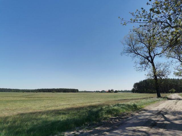 Działka rolna Święta. Zdjęcie 2