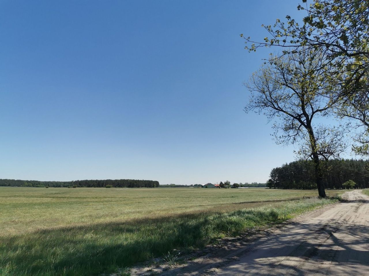 Działka rolna Święta. Zdjęcie 2