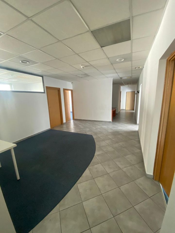 Lokal Wrocław Stare Miasto, pl. marsz. Józefa Piłsudskiego. Zdjęcie 3