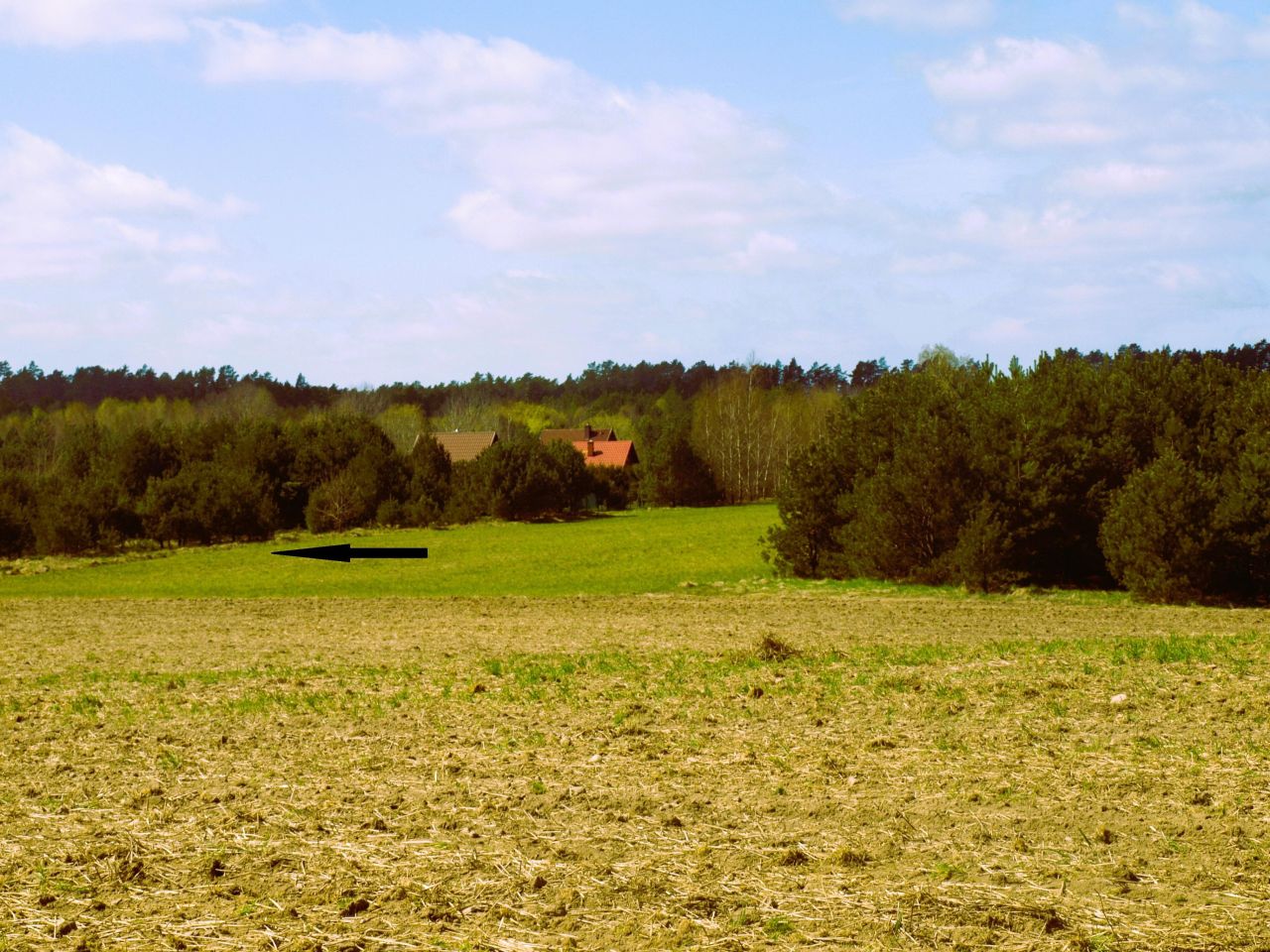 Działka rekreacyjna Lipy. Zdjęcie 15