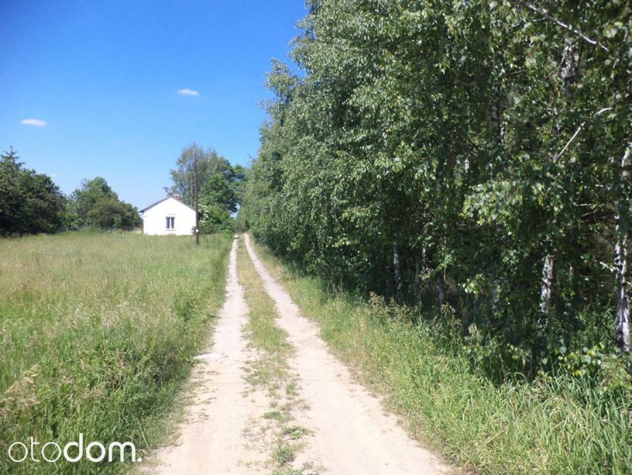 Działka siedliskowa Rędziny. Zdjęcie 6