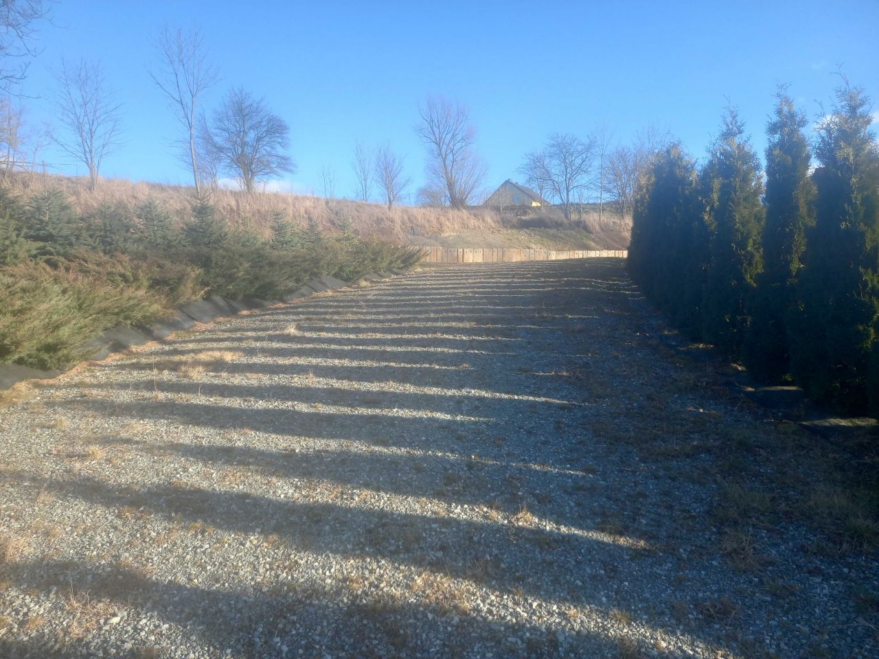 Działka budowlana Wojbórz. Zdjęcie 6