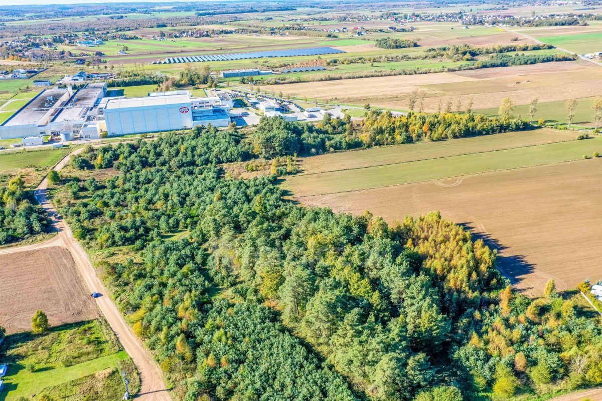 Działka inwestycyjna Łebcz, ul. Polna. Zdjęcie 7