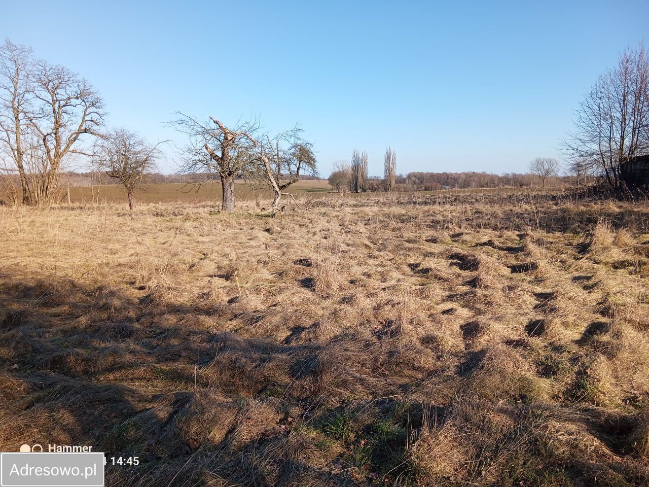 Działka budowlana Suszki. Zdjęcie 3