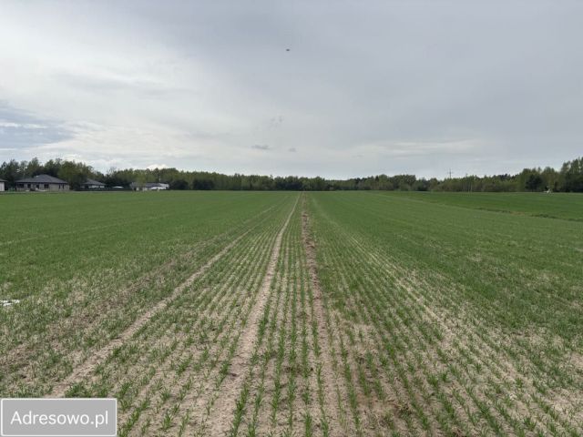 Działka budowlana Bądzyń, ul. ks. Brzóski. Zdjęcie 1